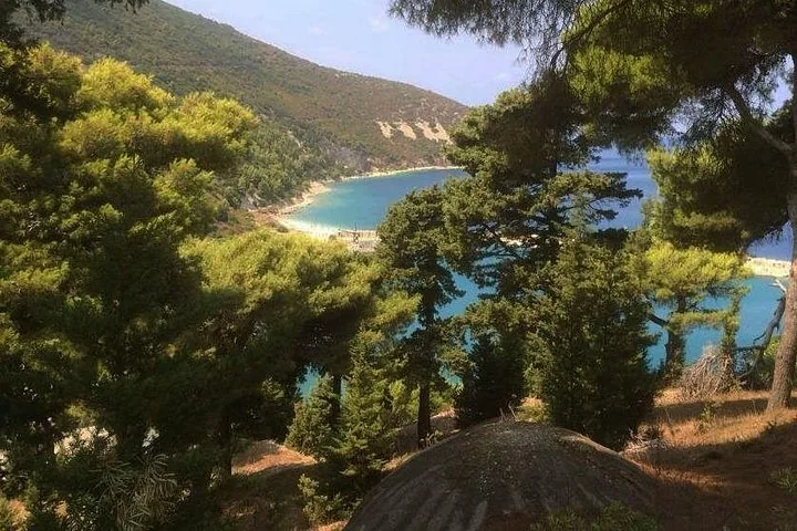 Veduta di una spiaggia e una baia appartate incorniciate da pini su una collina